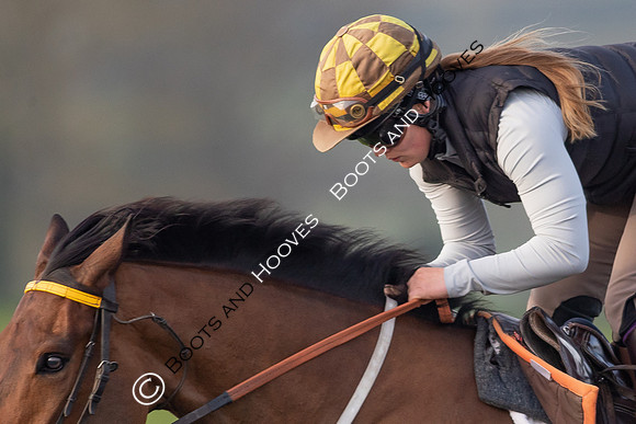 Newmarket Gallops