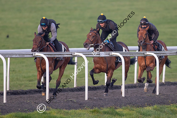 Newmarket Gallops