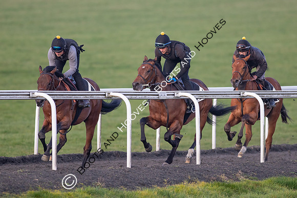 Newmarket Gallops