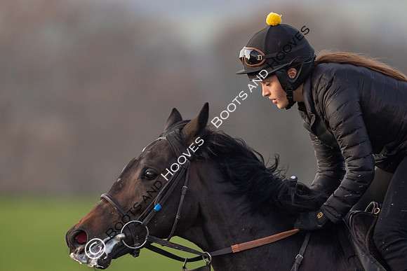 Newmarket Gallops