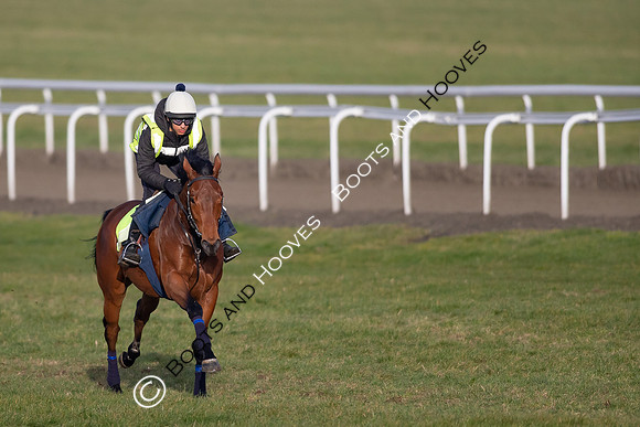 Newmarket Gallops