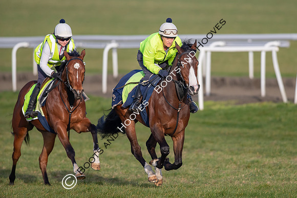 Newmarket Gallops