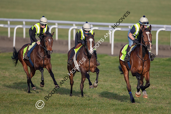 Newmarket Gallops