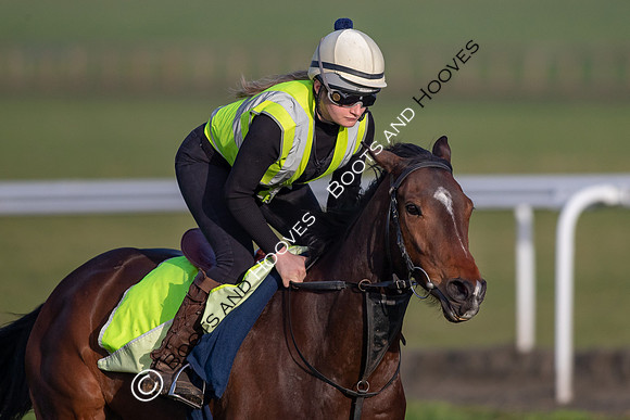 Newmarket Gallops