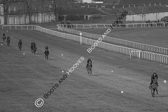 Newmarket Gallops