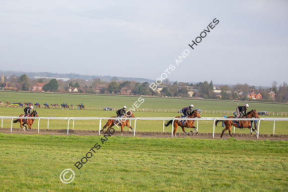 Newmarket Gallops
