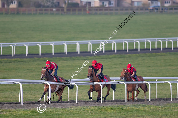 Newmarket Gallops