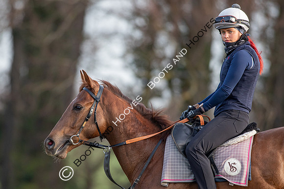 Newmarket Gallops