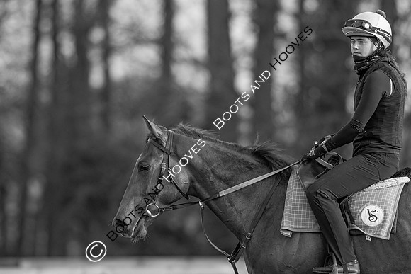 Newmarket Gallops