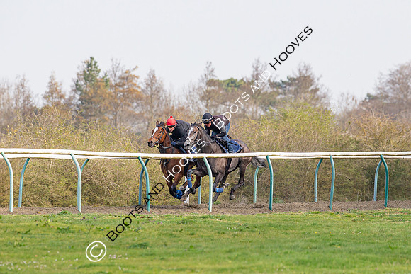 Newmarket Gallops
