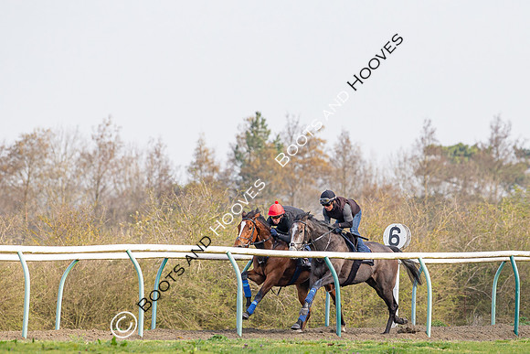Newmarket Gallops