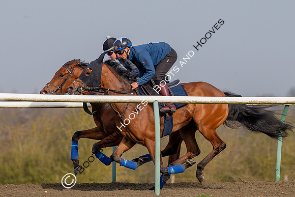 Newmarket Gallops