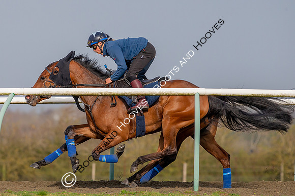 Newmarket Gallops
