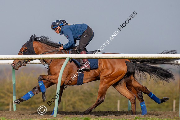 Newmarket Gallops