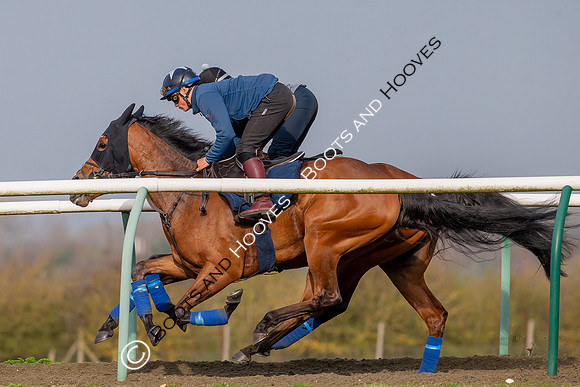 Newmarket Gallops