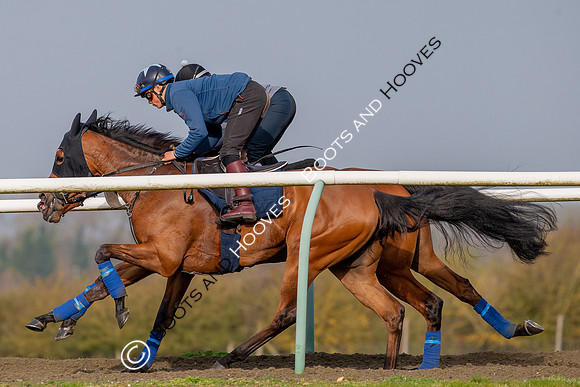 Newmarket Gallops