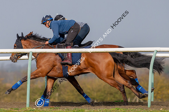 Newmarket Gallops