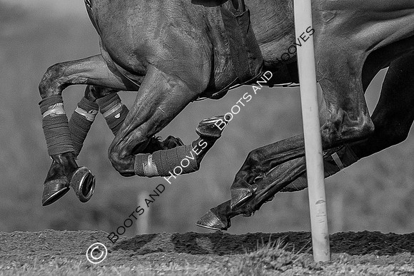 Newmarket Gallops