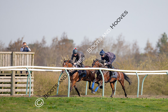 Newmarket Gallops