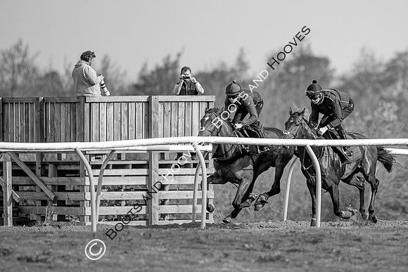 Newmarket Gallops
