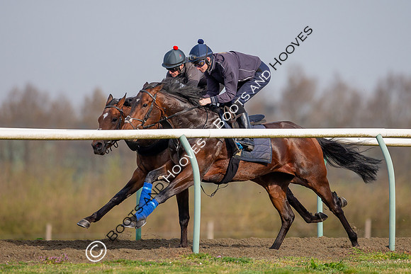 Newmarket Gallops