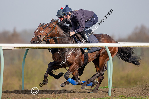 Newmarket Gallops