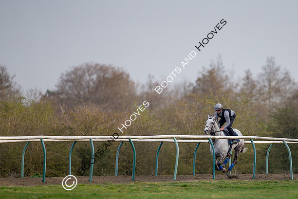 Newmarket Gallops