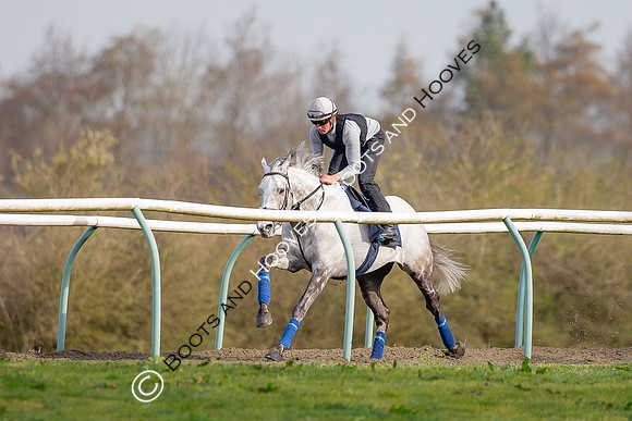 Newmarket Gallops