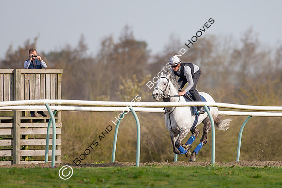Newmarket Gallops