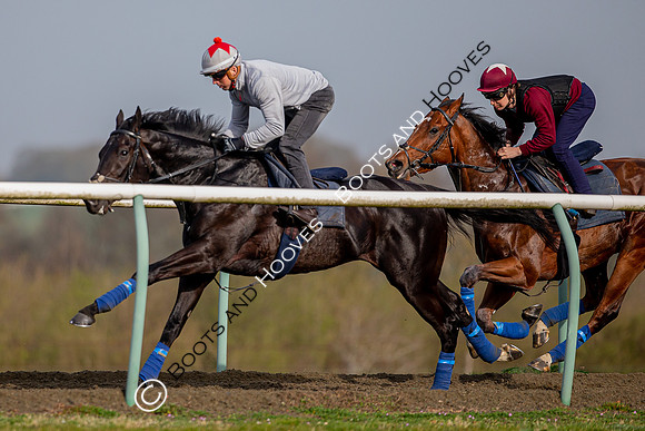 Newmarket Gallops