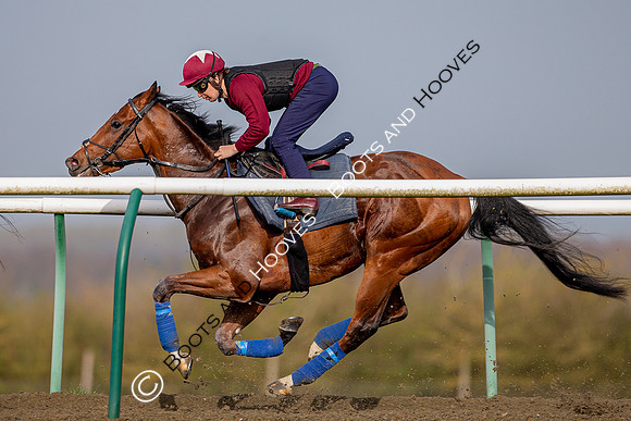 Newmarket Gallops
