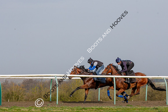 Newmarket Gallops