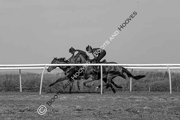 Newmarket Gallops