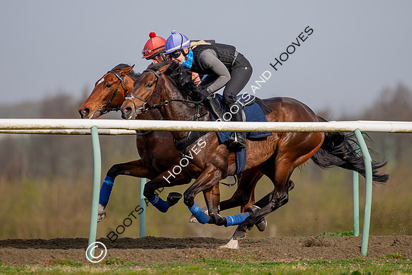 Newmarket Gallops
