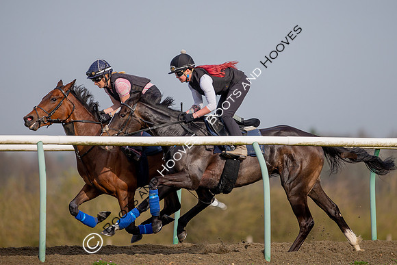 Newmarket Gallops