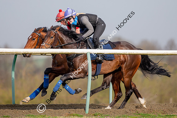 Newmarket Gallops