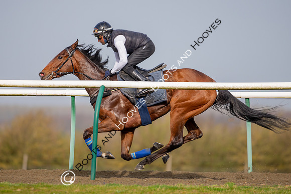 Newmarket Gallops