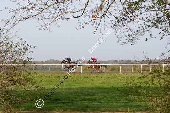 Newmarket Gallops
