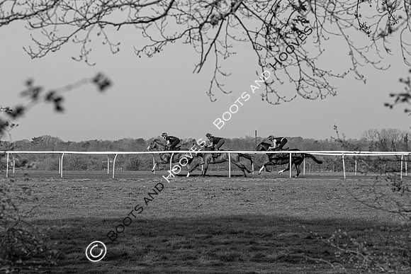 Newmarket Gallops