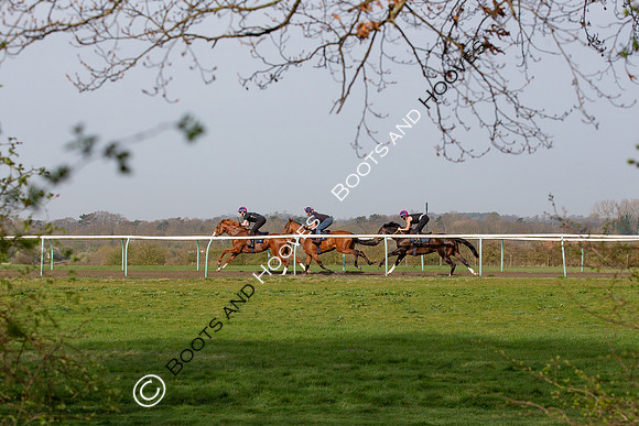 Newmarket Gallops