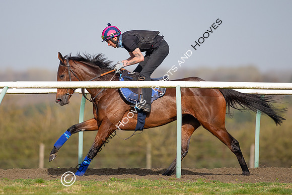 Newmarket Gallops