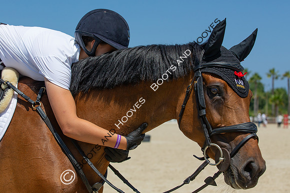 FEI Junior European Championship Young Riders, Juniors & Childre