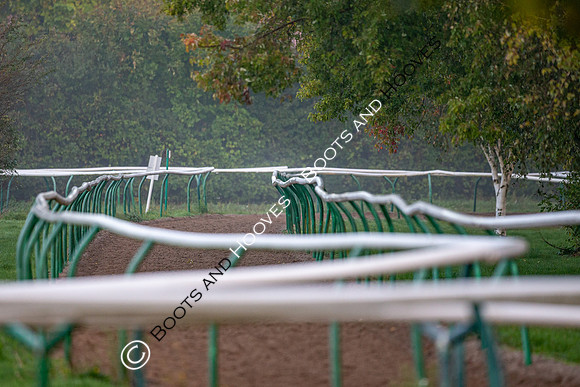 Newmarket