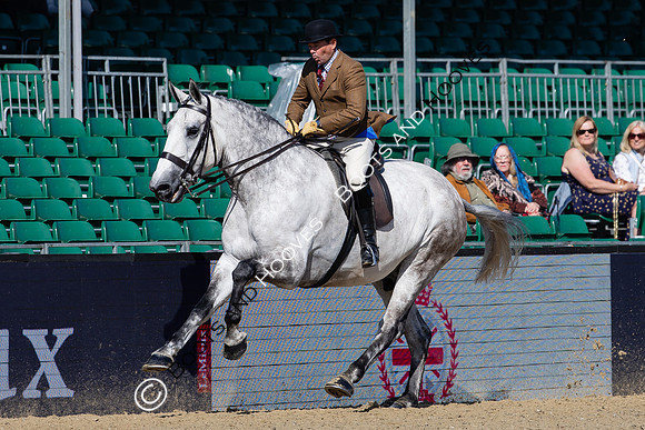 Royal Windsor Horse Show