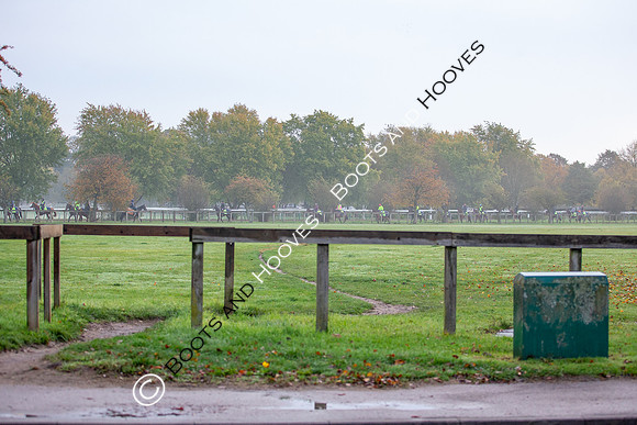 Newmarket