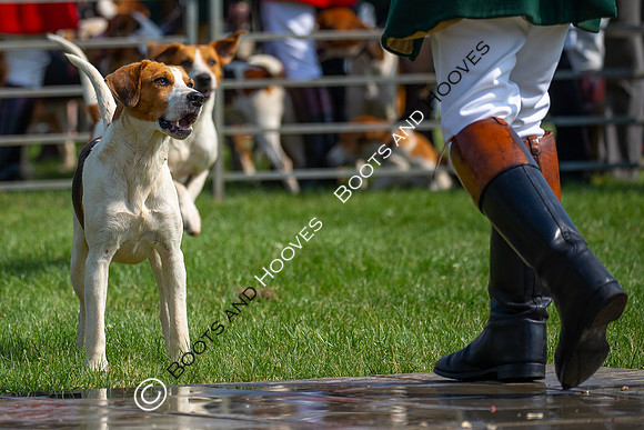 Festival of Hunting