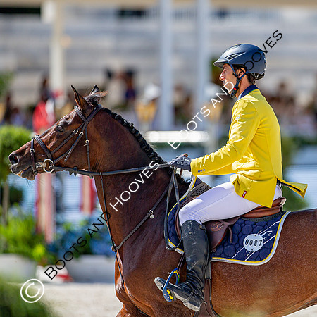Showjumping
