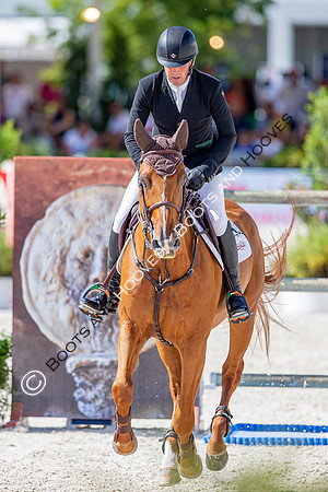 Showjumping