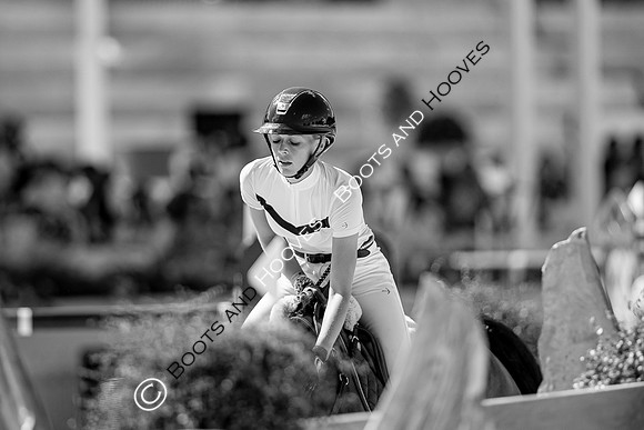 Showjumping