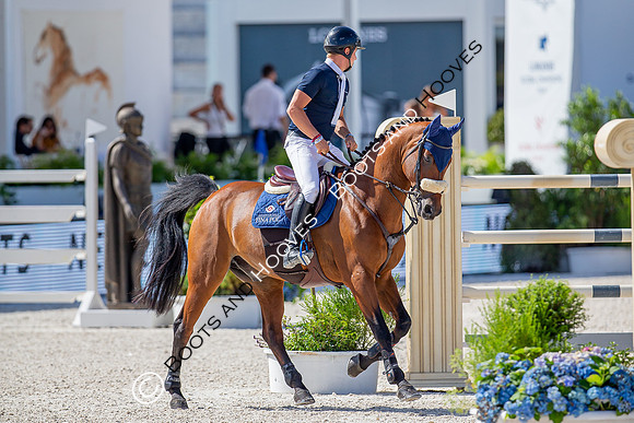 Showjumping
